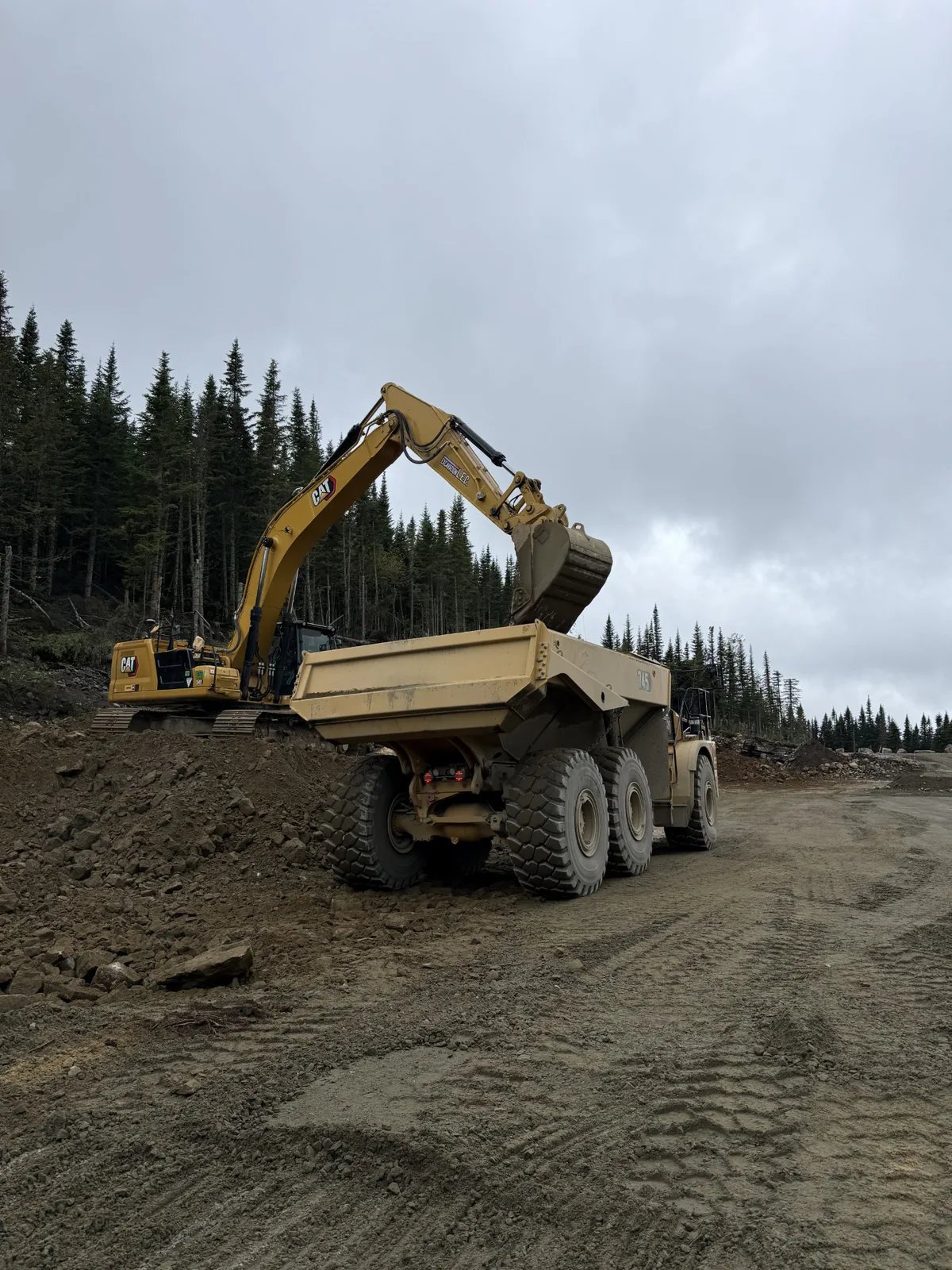 Déblais et transport — Pelle Caterpillar chargeant un camion articulé en bordure de forêt.